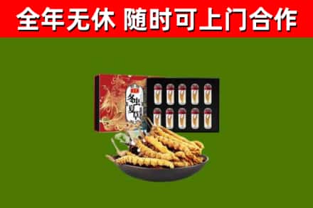 阿坝回收冬虫夏草价格
